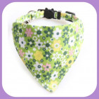 Collar-028
